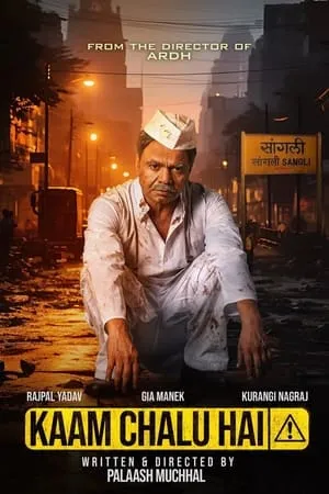 Filmywap Kaam Chalu Hai 2024 Hindi Full Movie WEB-DL 480p 720p 1080p Download